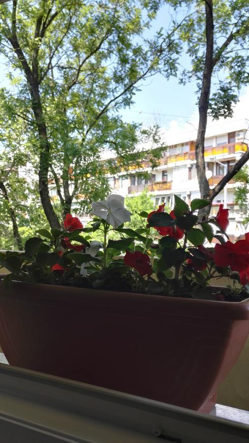 Csipke Apartman Makó Esterno foto