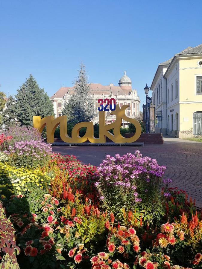 Csipke Apartman Makó Esterno foto